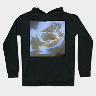 Rose 186 Hoodie